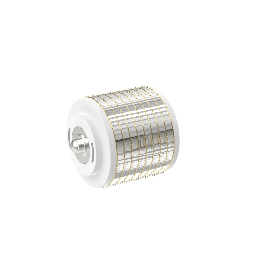 0.25mm Replacement Cartridges for Bio Roller G5 1